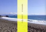 Sakagin Kochi Travel Record : Tamatebako / Jim