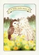 Uma pequena história de owls 2
