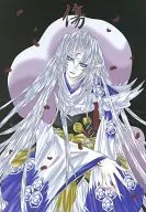 Wound / Misuzu Aso