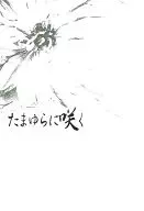 Flor de Tamayura / Akira Kosaka