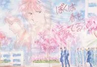ぼくは春をまってる / 霧島陸 / 紗倉愛