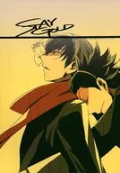 STAY GOLD/赤来智惠子