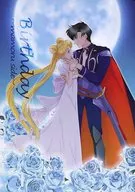 Birthday - mamoru side - / Kitsu Rei