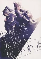 少年は太陽に焦がれる / どっせい