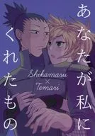 What You Gave Me / Nui Shibasaki