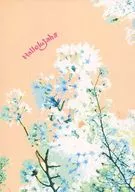 Hallelujah！/河边