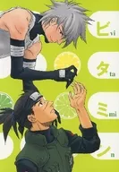 ビタミン I 13 / 灰猫