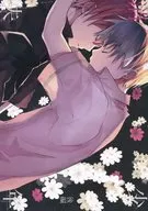 The Disappearance of the Boy / Mizushima