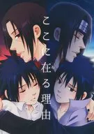 ここに在る理由 / むつき
