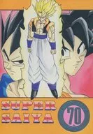 Super SAIYA 70 / Black Shishio