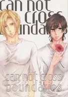 can not cross boundaries / DAI