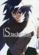 Stachyurus - スタキウルス / Keuna