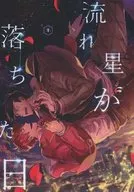 The day the shooting star fell / Misao