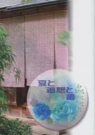 夏与追思与番/橘水木