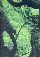 EMERALD FOREST/若林健
