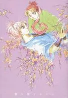 O amante da primavera / Marks