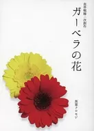 Flor de Gerbera / Hoja negra