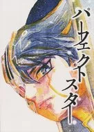 パーフェクトスター / 大木ボンチ
