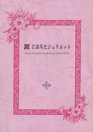 Categoria : Midnight Matsumae