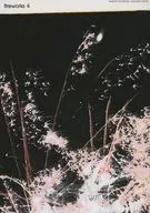 fireworks4 / KAE
