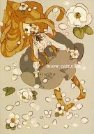 snow camellia/家