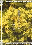 銀葉アカシアの咲く頃に / 藤野雅