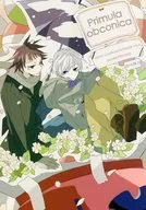 Primula obconica / すずみ