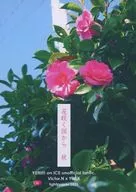 Flowering Country from Autumn / Sassa