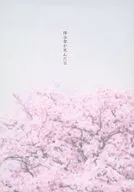 Kutani 0 morreu / Koide