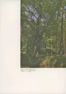 In the middle of a slope / 60659