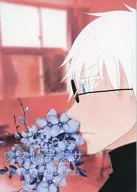 Forget-me-not / Soto