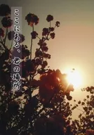 ここにある、君の場所 / 高城 / チタン合金