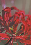 Red Spider Lily / moggy