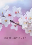 See You Again in Spring / Sakuya Oshino