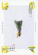 Haribote / Tozai