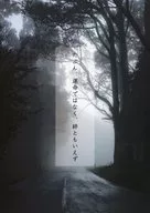 たぶん、運命ではなく、絆ともいえず / くずのは