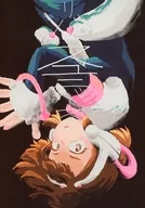 Universo Inverso / Tanuki Kinuta