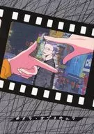 Camera Obscura / Surimi