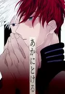 Akato Tōru / Ko