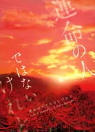 Não sou O MEU DESTINO.