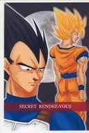 [Copy Magazine] SECRET RENDEZ-VOUS / apreciación nocturna de sakura
