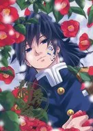 耐冬花 / ぱんけーき