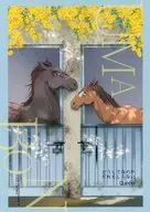 No one knows why / Tontaro