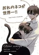 ¡Mi gato es el mejor del mundo!