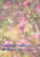 遭遇结婚欺诈的緑間先生，在那之后好像也过着幸福的生活。/七尾