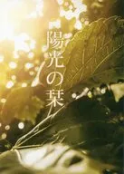 Yoko no Shiori / nov