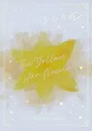 きいろいほしの花 / meg