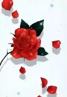 ELYSIUM 闇の中で咲きつづける花 / 真咲まひる