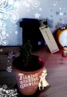TALKING HEARING GROWING / fuzimo
