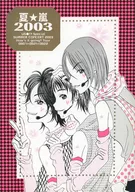 Summer Storm 2003 / Tonoriku